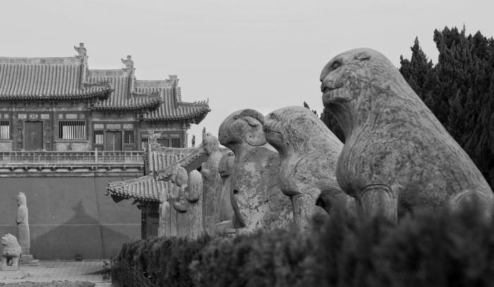 洛阳医院最新招聘信息,科技重塑医疗,开启健康新纪元的大门