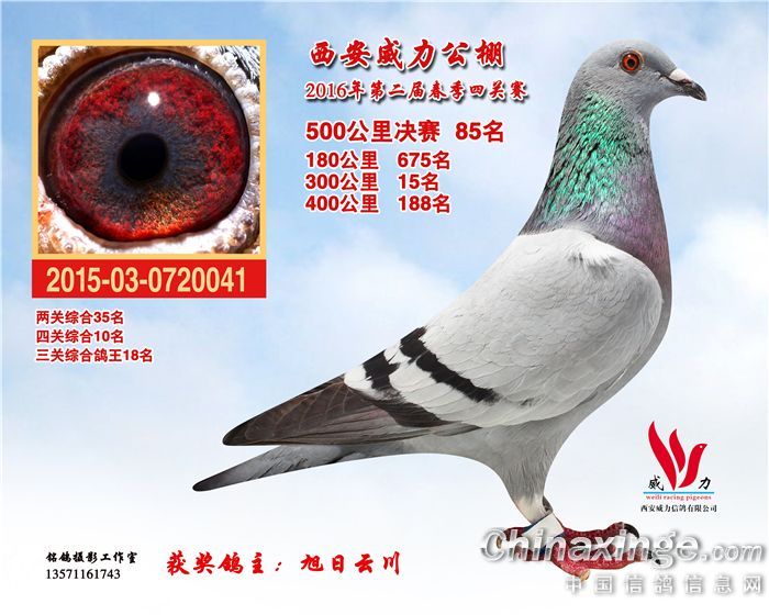 五州公棚最新公告揭秘,友情与陪伴的温暖日常