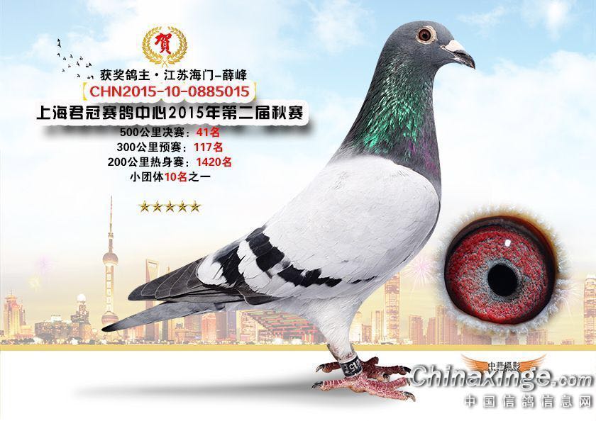 五州公棚最新公告揭秘,友情与陪伴的温暖日常