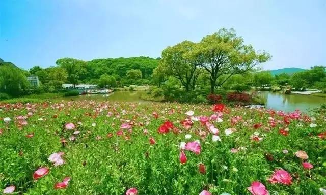 揭秘无锡星湖花海最新房价动态与当下房地产市场趋势