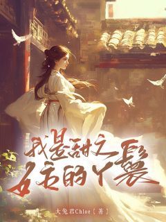 苏墨晚慕容景最新故事篇章，探寻热门话题下的新旅程