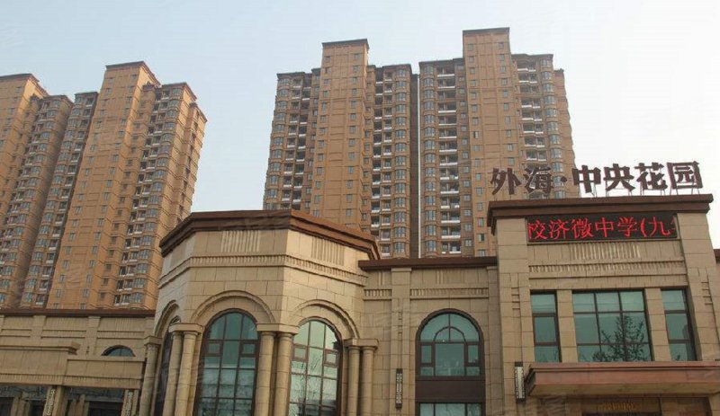 外海中央花园最新动态,外海中央花园最新动态，一种多维度的观察与解析