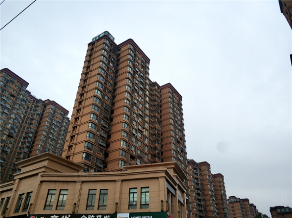 外海中央花园最新动态,外海中央花园最新动态,一种多维度的观察与解析