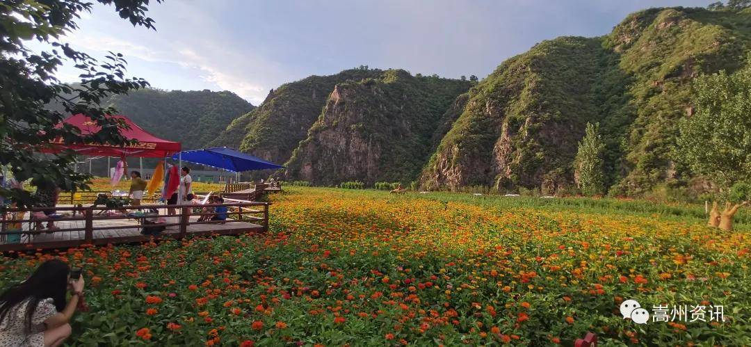 口袋川麻最新版,自然美景的探索之旅