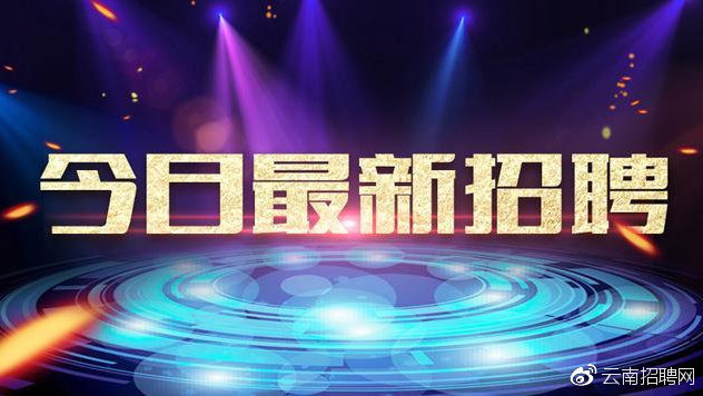 麒麟区最新科技智能招聘信息,引领未来招聘新时代