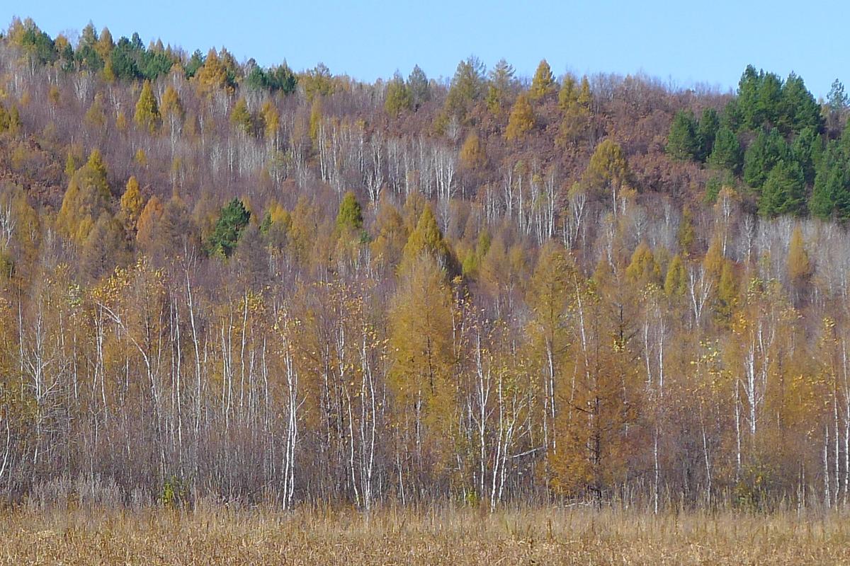最新小额贷款新口子,带你畅游自然美景之旅