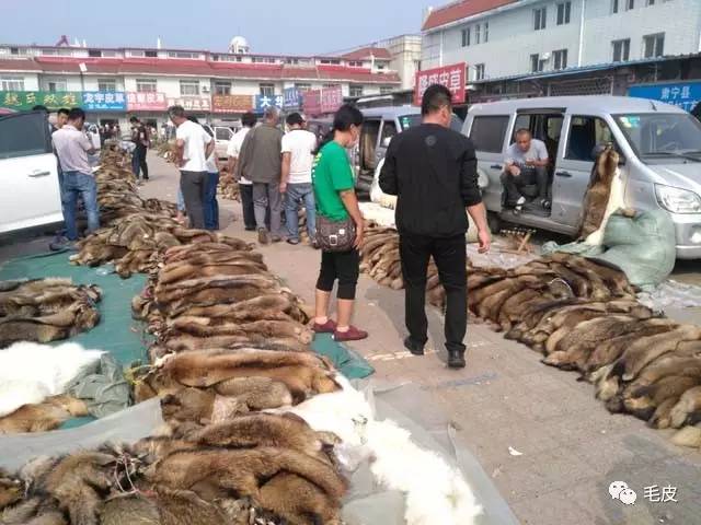 河北尚村最新毛皮价格走势及分析,市场影响因素深度解析