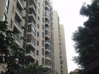 龙潭福里最新房价走势探析