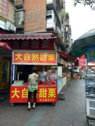 南栗最新动态，小巷中的秘密小店揭秘