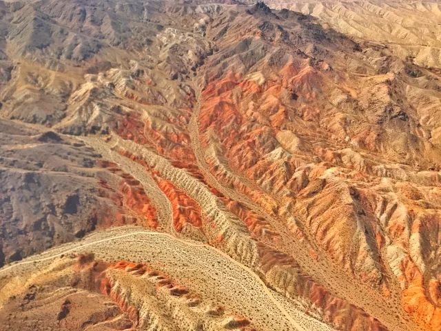 蔡英文今日探索自然之旅,寻找内心平静与自然的和谐共存