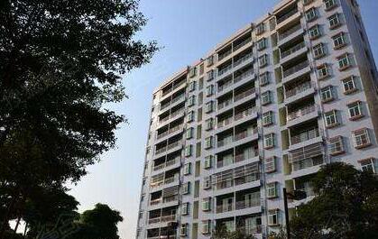 隆回租房住房最新动态,小巷深处的独特风情