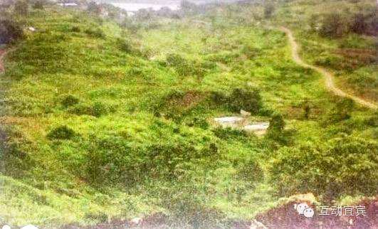 宜宾李庄,自然美景探索与心灵觉醒之旅的最新头条新闻