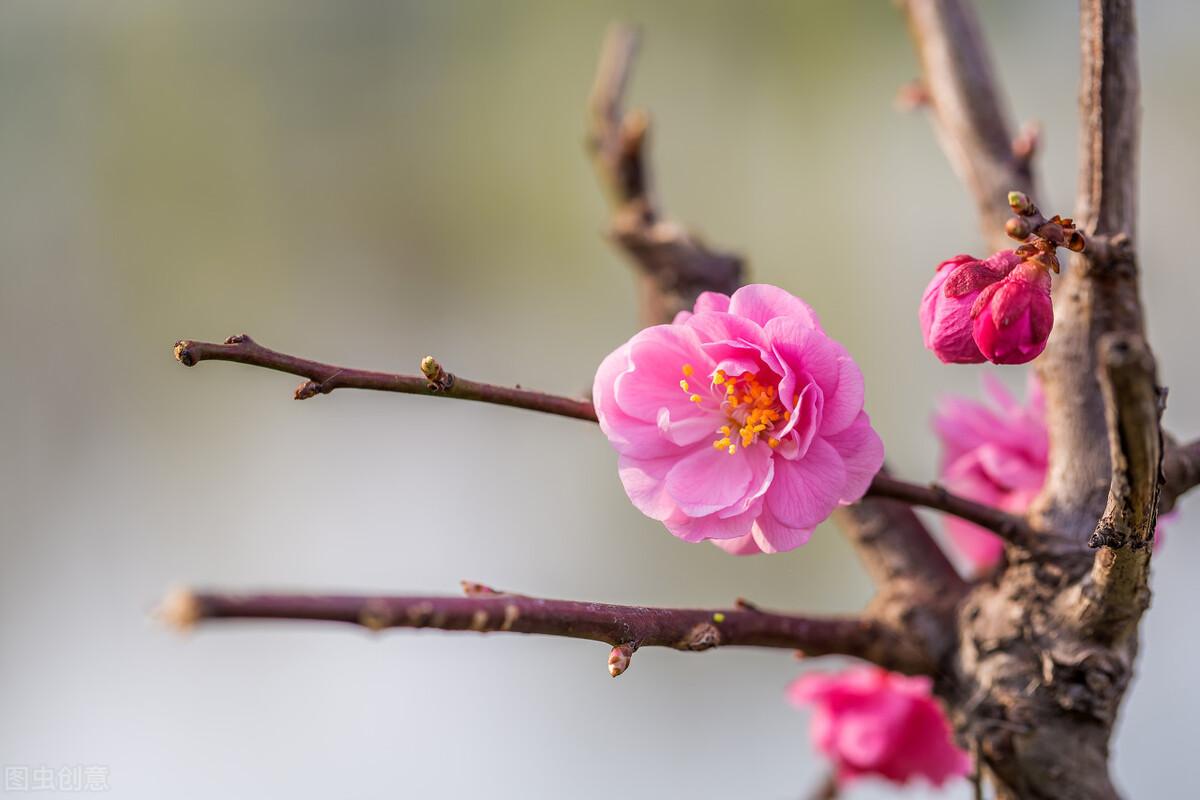 社办企业退休政策最新解读,一场探索自然美景的退休之旅