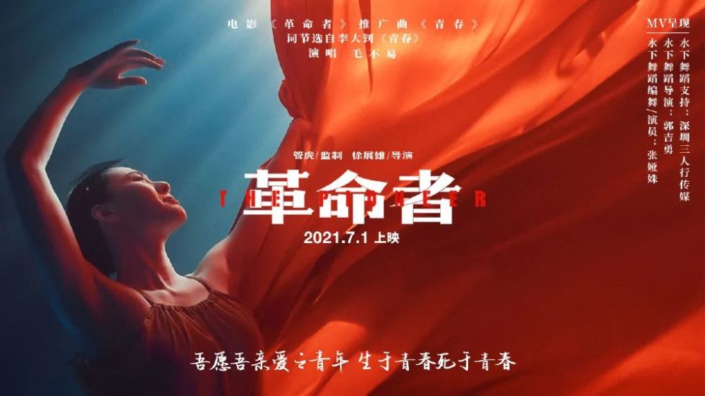 9910五水五红最新价格指南,初学者与进阶用户必备手册