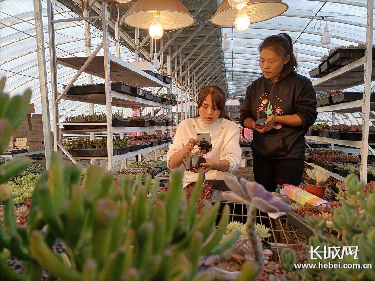 高邑最新房源出售信息大全,最新房子出售信息汇总