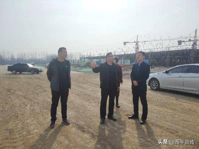 裴西平项目最新进展揭秘，动向更新速递
