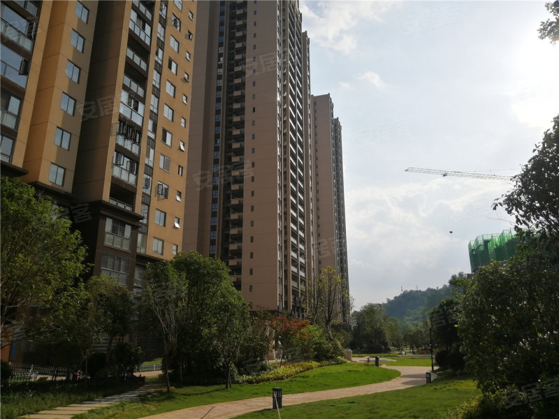 桑植紫御山水最新房价揭秘与买房攻略