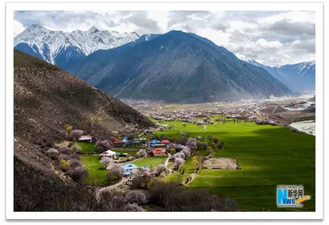 仁新高速最新动态,驶向自然美景,探索内心平静的奇妙旅程