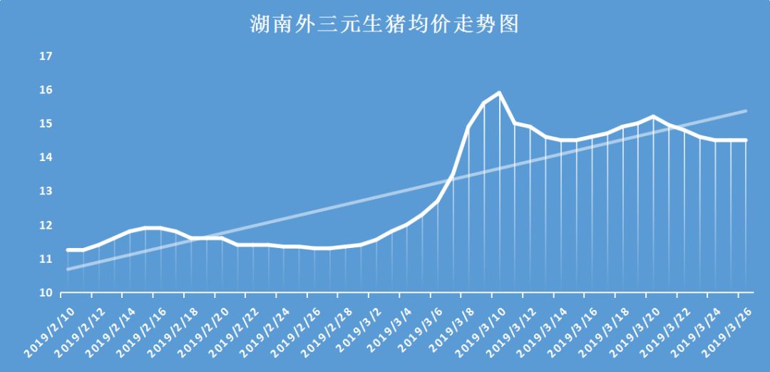 湖南最新猪价走势揭秘,巷弄风情与价格动态分析