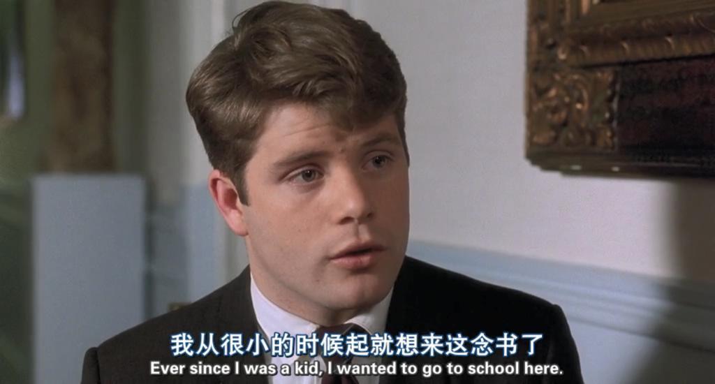 腾漫解析式最新版，自然之旅的心灵觉醒