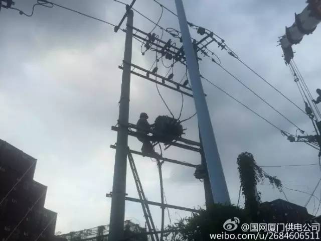品牌环境系统 第295页