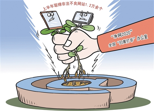 涉黄警示,成人色情网站的危害与风险解析,警惕不良影响!