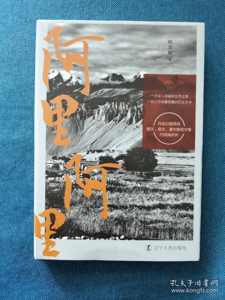 难逃阿里里呀最新章节获取与阅读指南