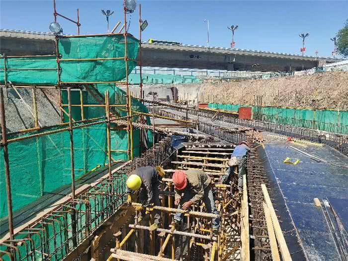 新医路西延最新动态,自然美景的轻松探索之旅