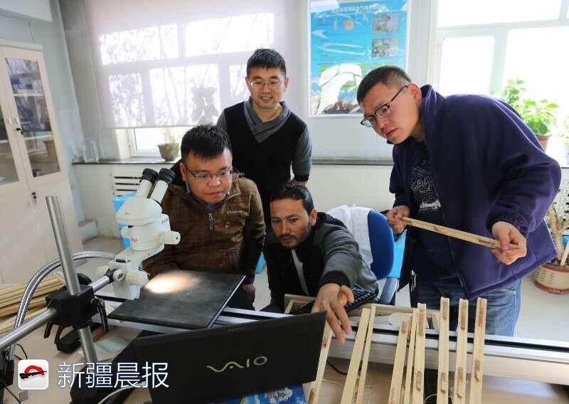 新医路西延最新动态,自然美景的轻松探索之旅