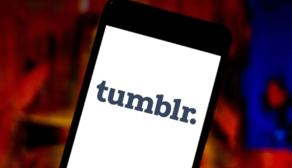 汤不热最新版本,激发学习热情,成就梦想之路