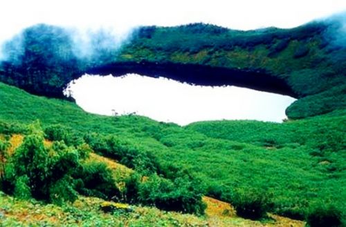 紫林湾最新动态,探索自然美景之旅,寻找内心平静之旅