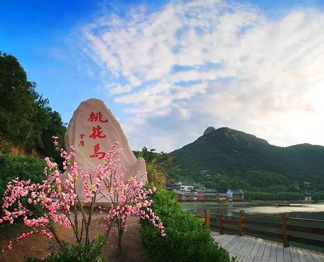 紫林湾最新动态,探索自然美景之旅,寻找内心平静之旅