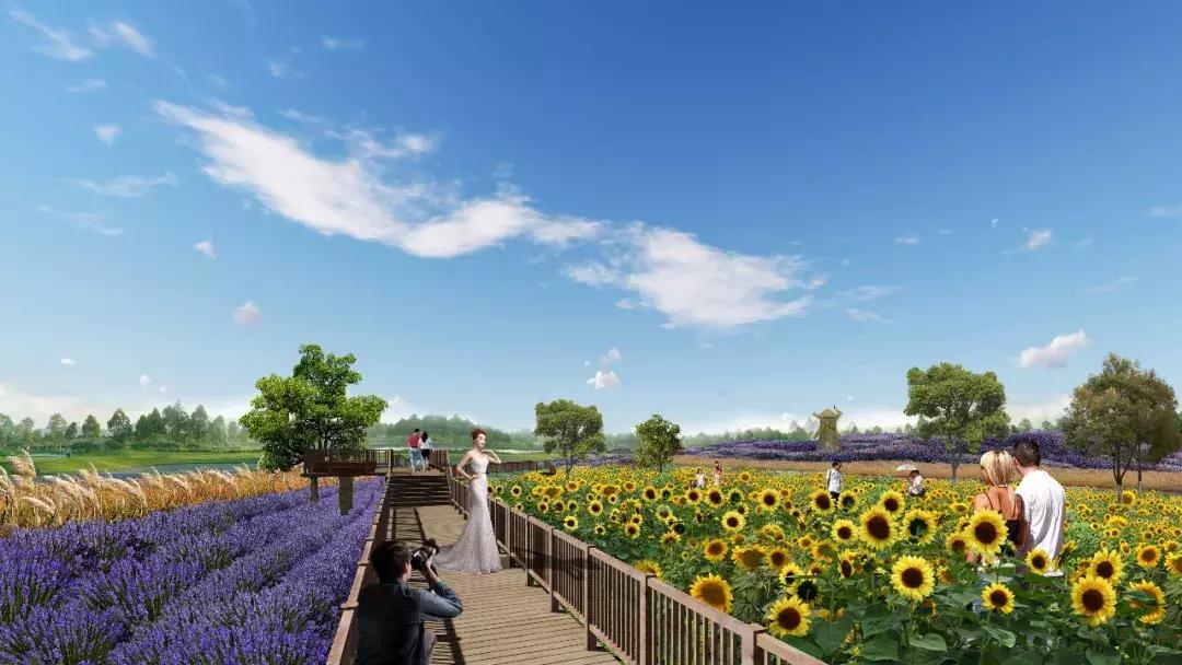 周南高速最新消息详解，步骤指南与进展更新