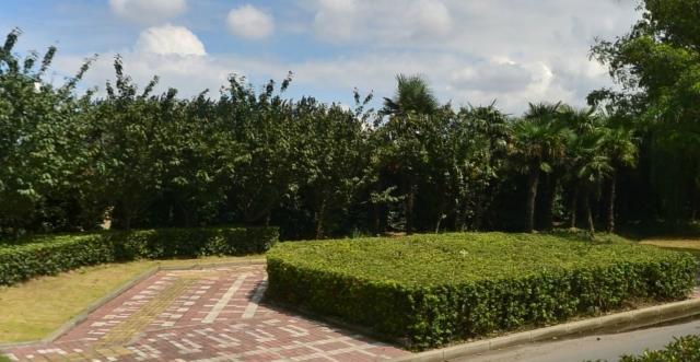 杨行北站最新规划图,🌟杨行北站最新规划图🌟