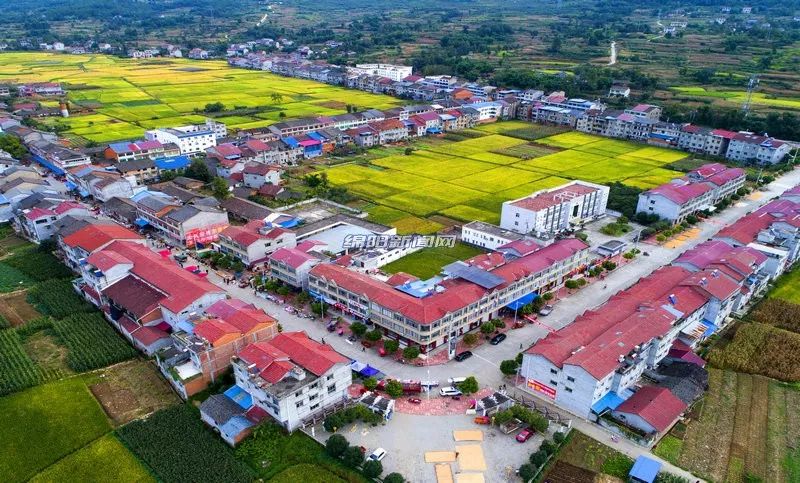 建湖县委人事调整最新动态，探寻小巷中的独特风味