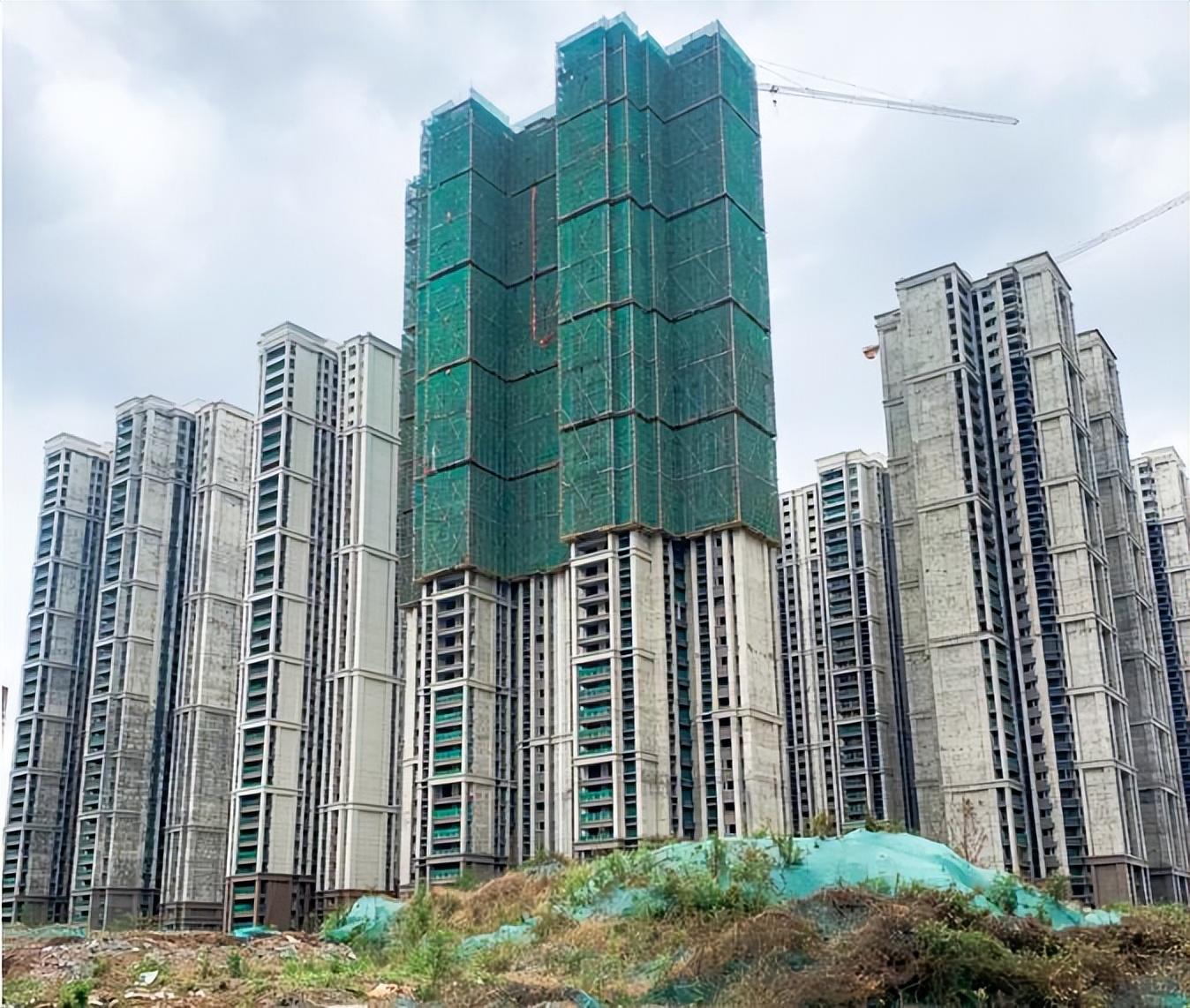 成都天府半岛夏日最新动态，温馨时光揭秘最新故事