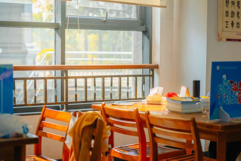 邓海光的最新动态与日常趣事，阳光下的温暖时光