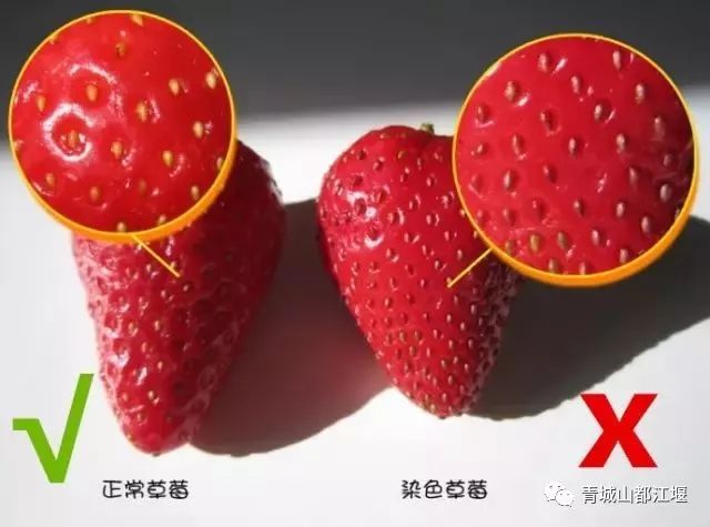 草莓视频合法下载入口及相关内容探讨，遵守法律，远离色情内容的重要性提示