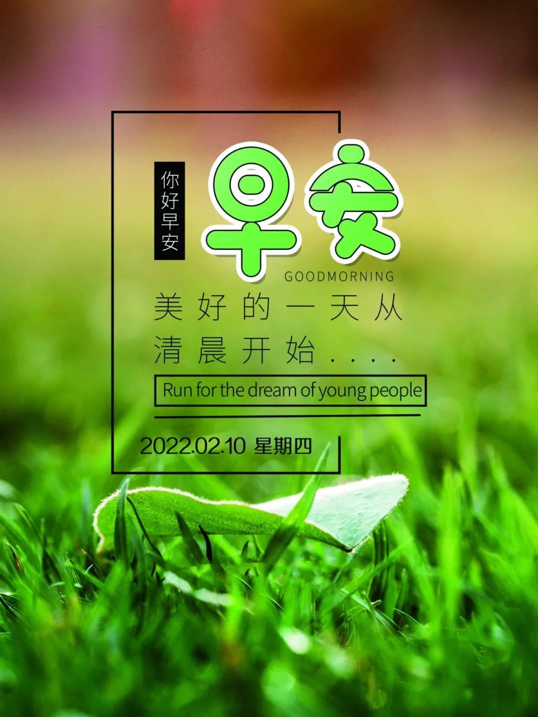 洛阳今世福最新动态,全面指南与步骤详解