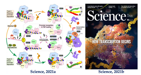 生物技术最新研究成果揭秘,奇妙日探秘之旅