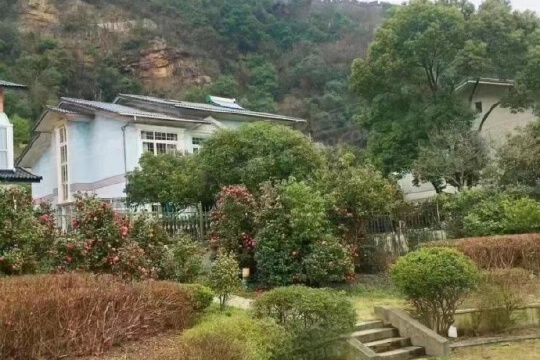 西安南山花园最新动态揭秘,多维度探析进展与动态更新