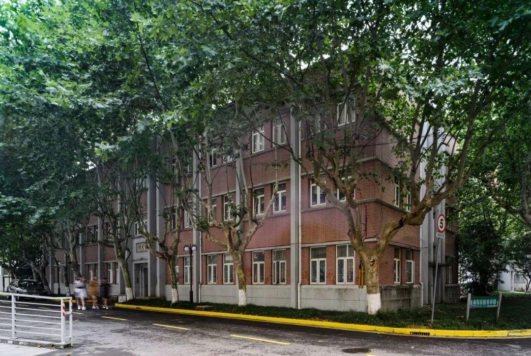 探索最新最全免费视频资源的世界