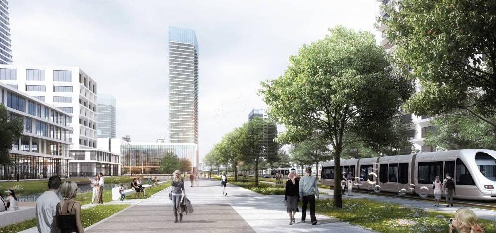 杭州湾新区最新动态详解,探索与了解,最新新闻及步骤指南