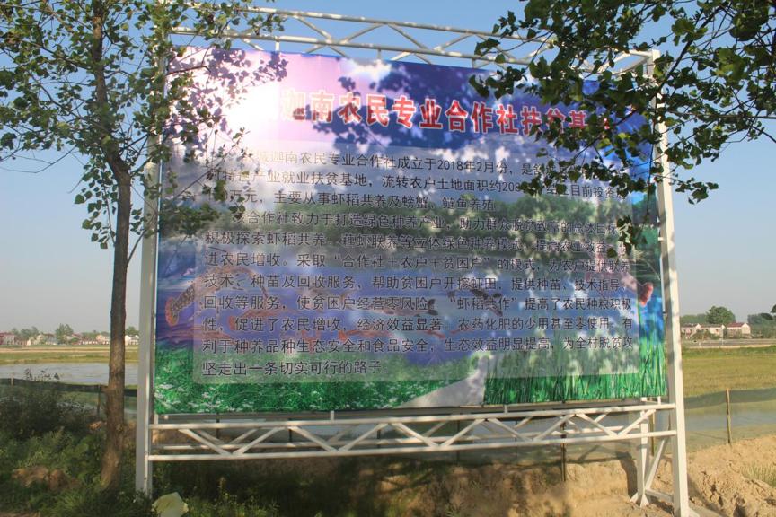 安新县最新新闻报道