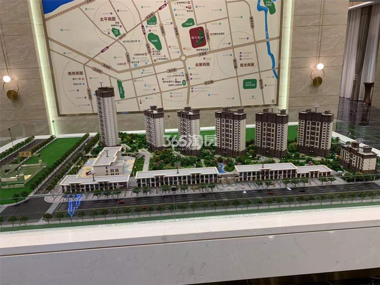 新蔡五证齐全楼盘最新动态,背景、进展与地位揭秘