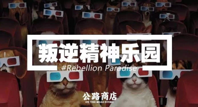 快猫新址分享,友情与陪伴的温馨日常新家园