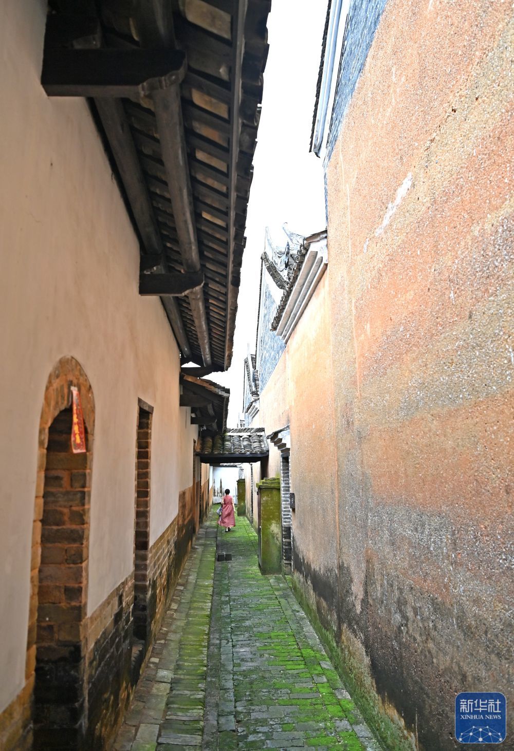 辽宁宏运最新动态与小巷深处的独特风味探索