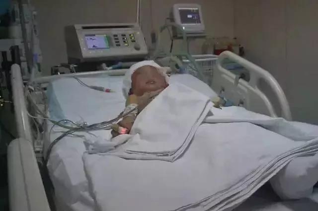 渭南鹏鹏最新动态更新