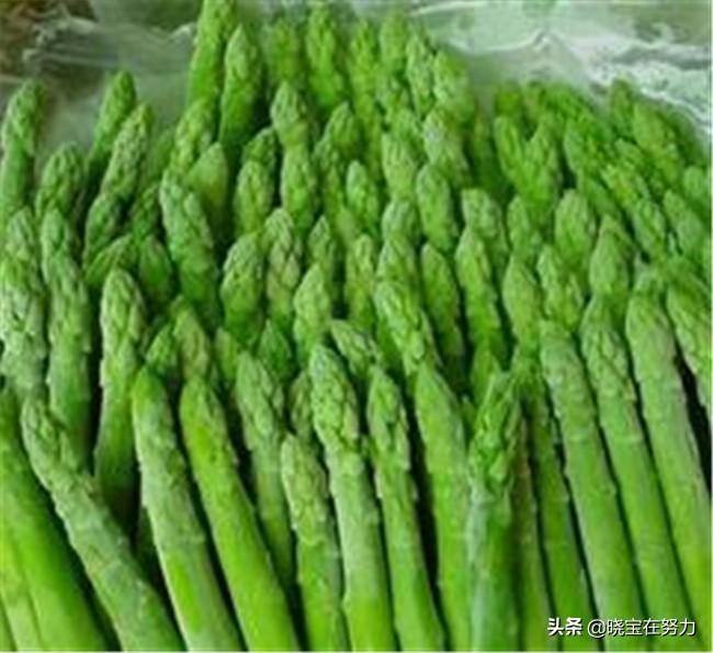 河津人才网最新招聘，小巷深处的独特风味美食探索之旅