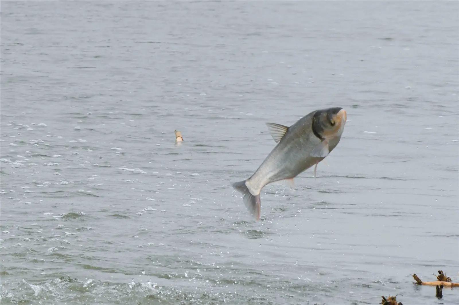 吉林地震最新消息今日解读,安全与防护知识普及📢